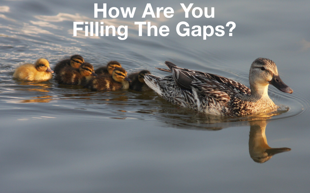How Are You Filling The Gaps?