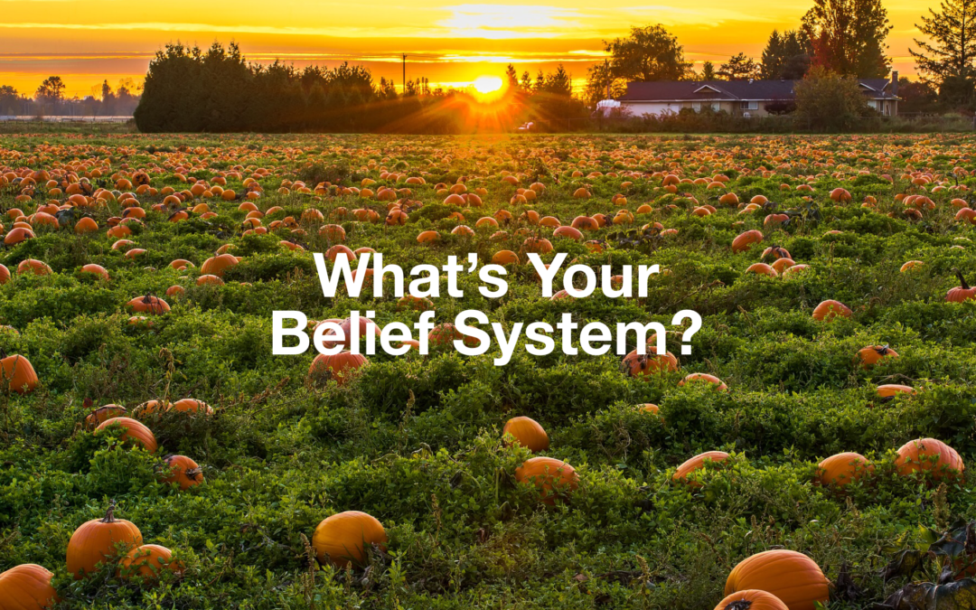 What’s Your Belief System?